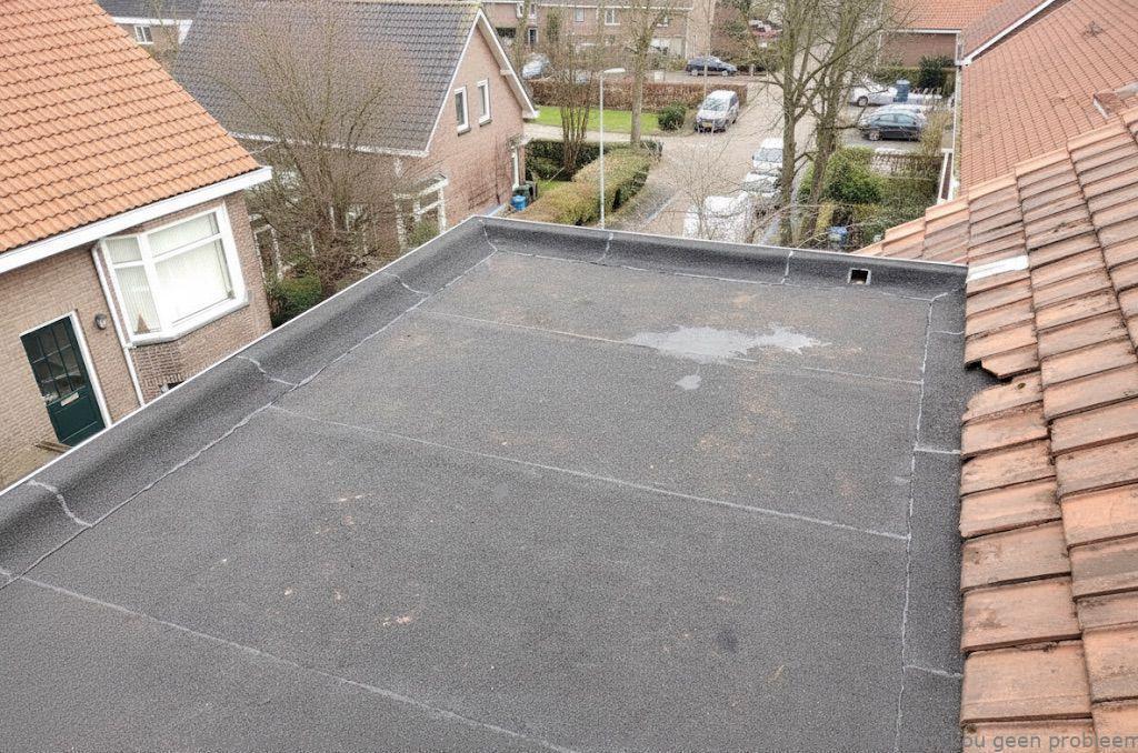 Dakdekker In Najaar Heerhugowaard