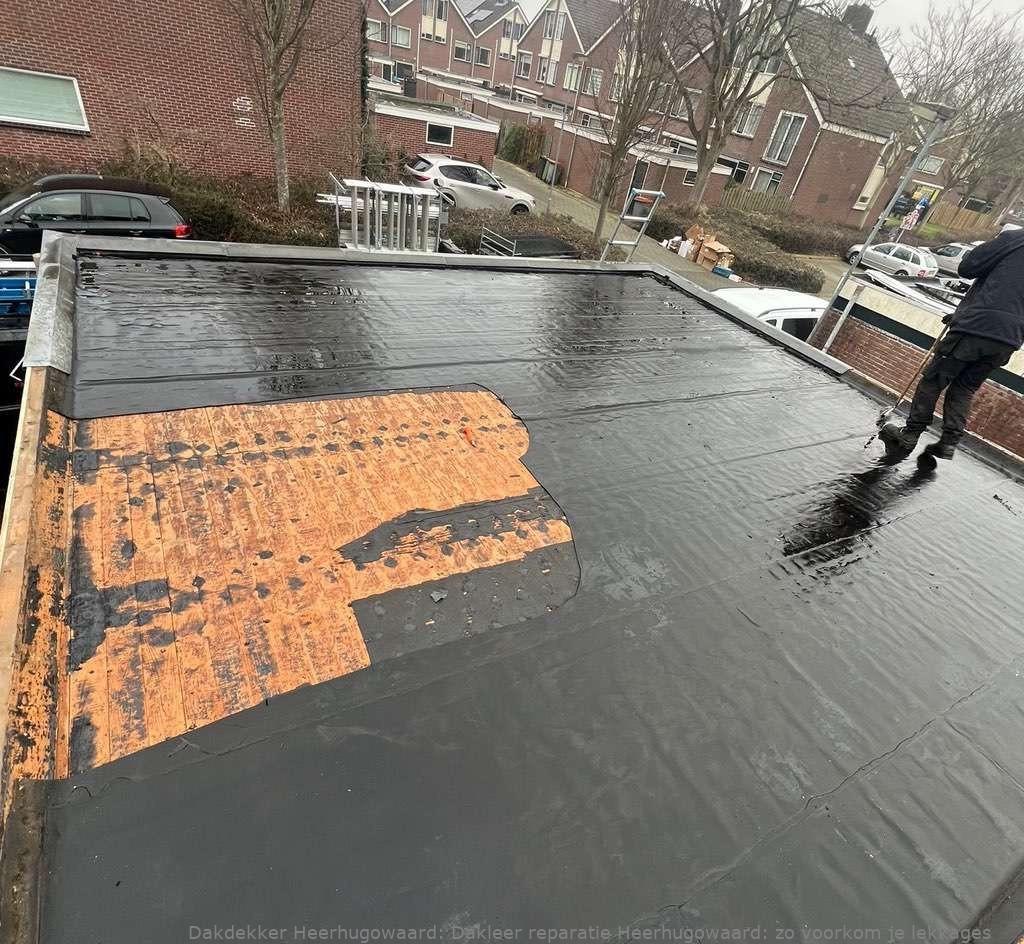 Dakleer Reparatie Heerhugowaard