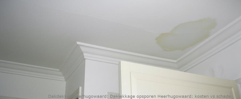 Daklekkage Opsporen Heerhugowaard 1