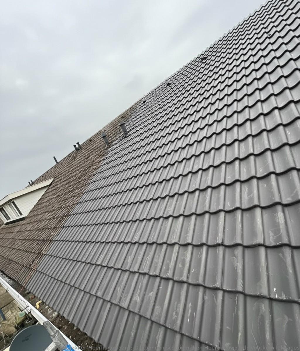 Dakpannen Schoonmaken Heerhugowaard