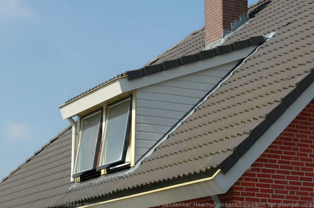 Goedkope Dakdekker Heerhugowaard