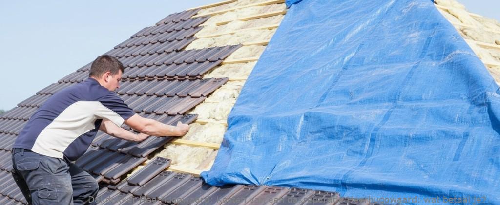 Kosten Van Een Dakreparatie Heerhugowaard