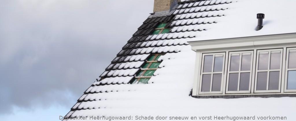 Schade Door Sneeuw En Vorst Heerhugowaard
