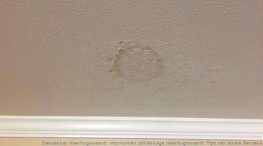 Voorkomen Daklekkage Heerhugowaard