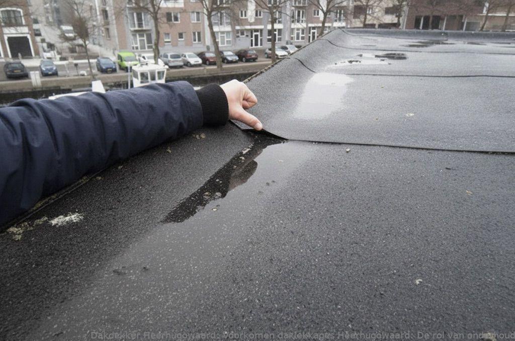 Voorkomen Daklekkages Heerhugowaard